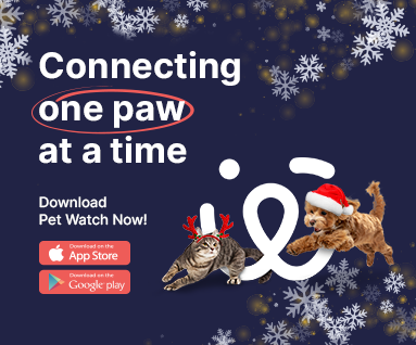 Pet Watch App
