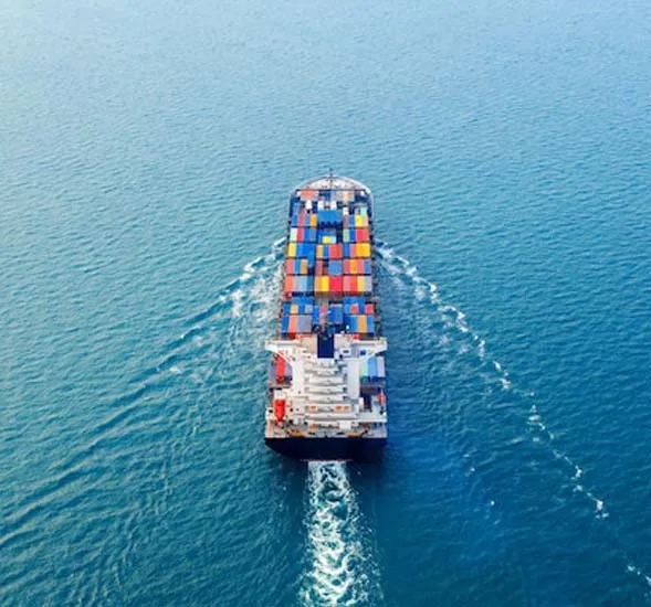 Food Importers & Exporters Brands & Companies in Globe