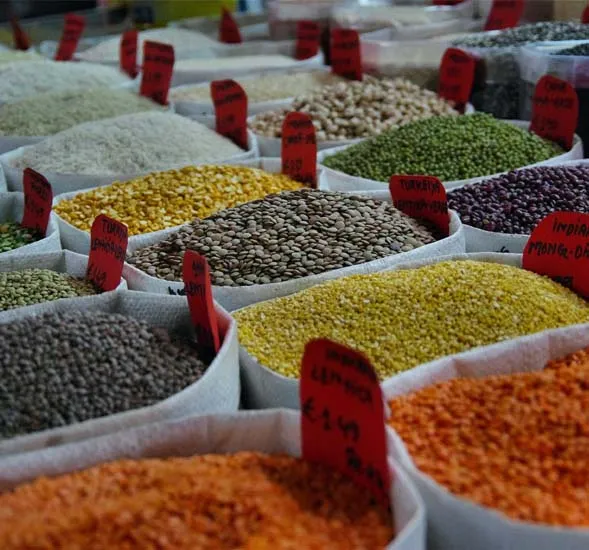 Spices, Herbs, Seeds & Oil Seeds Brands & Companies in Globe