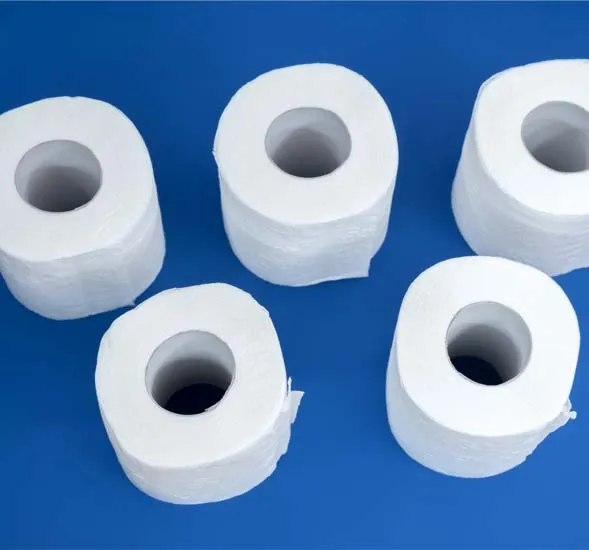 Tissues and Hygiene Brands & Companies in Globe