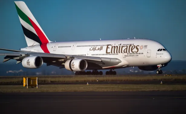 Emirates Plane Collides with Flamingos in Mumbai, Causing Flight Disruption