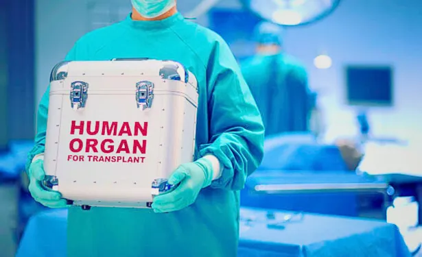 organ donor