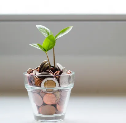 Best financial management and budgeting company